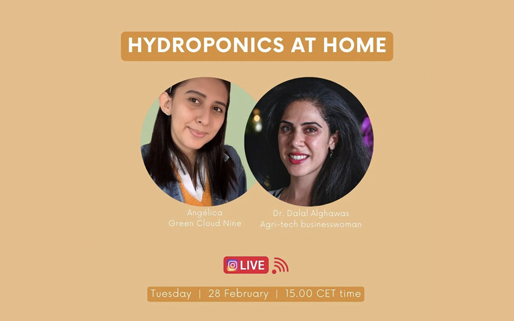 Live stream: Hydroponics at Home