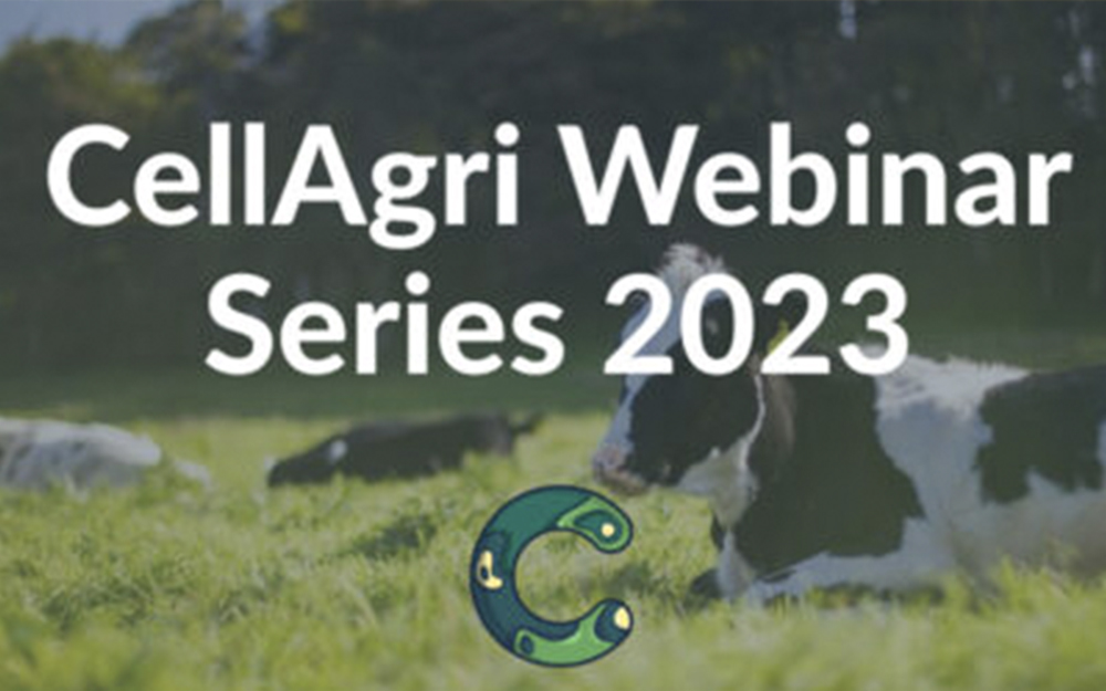 Investing in the Future of Cellular Agriculture: Investor Perspectives – Cell Agri