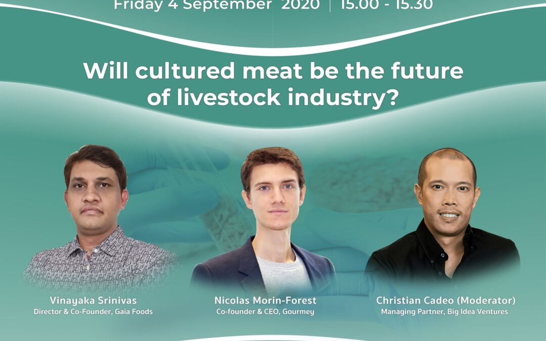 Will cultured meat be the future of livestock industry?