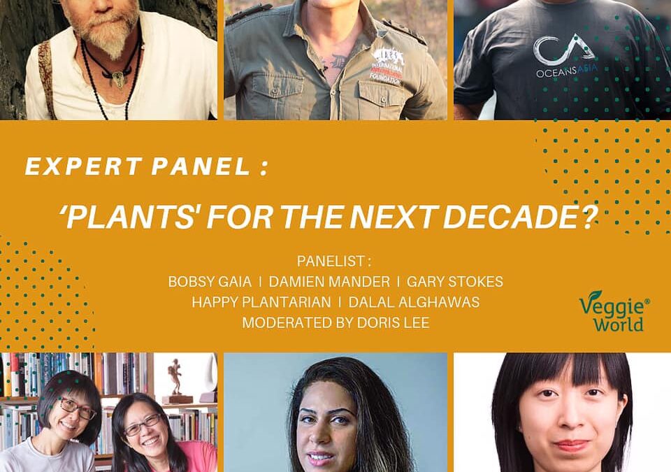 Expert Panel: Plants for the Next Decade